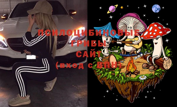 гидра Алексеевка