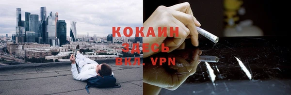 гидра Алексеевка