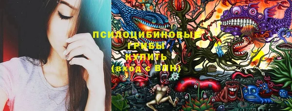 молекула духа Алексин