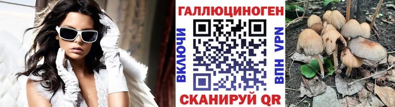 Галлюциногенные грибы Psilocybe  цены   Аргун 
